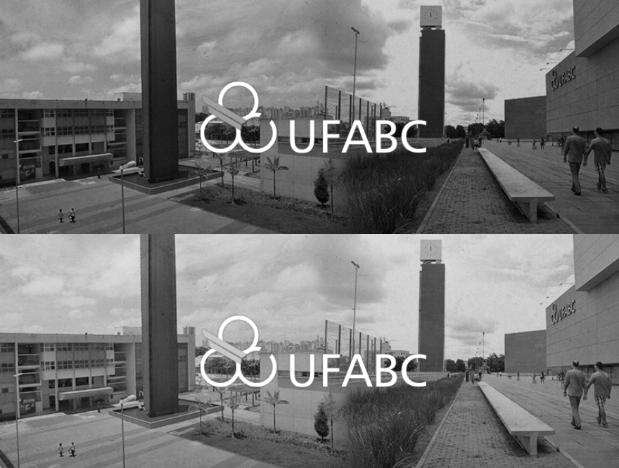 Conversão para escala de cinzas. Conversão utilizando a média (imagem superior) e os coeficientes adequados (imagem inferior).